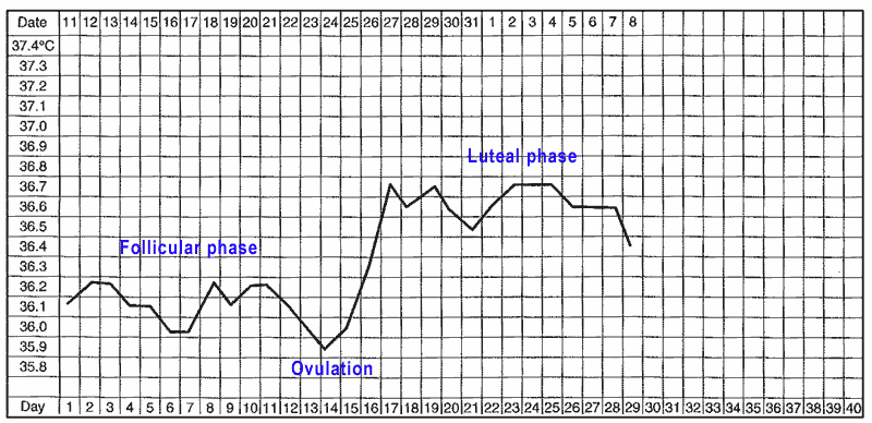 basal temperature chart