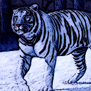 dream snow tiger